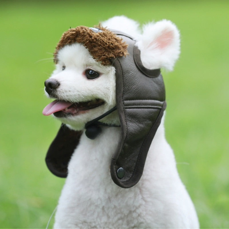 Pupper Pilot Hat