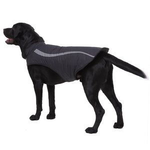 Reflective Dog Jacket