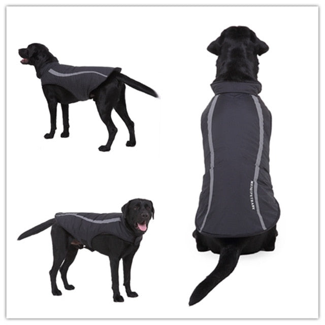 Reflective Dog Jacket