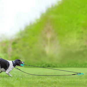 Outdoor Pupper Play Set