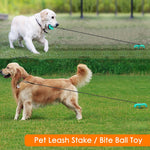 Outdoor Pupper Play Set