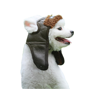 Pupper Pilot Hat