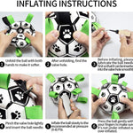 Interactive Ball Toy