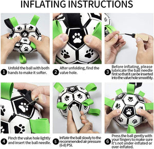 Interactive Ball Toy