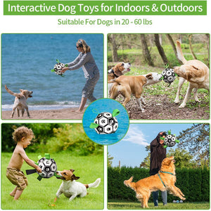 Interactive Ball Toy